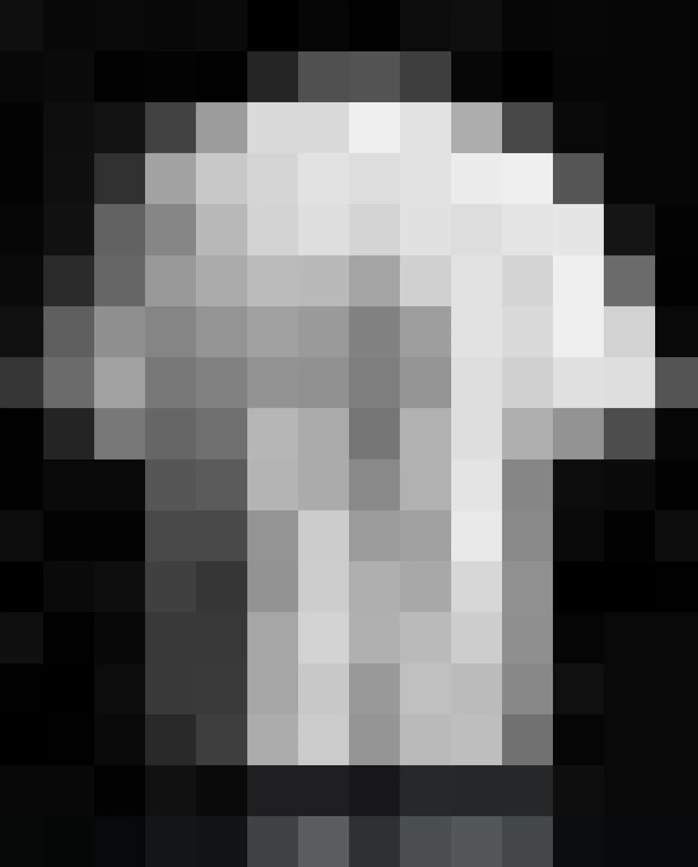 Drop 001 tee, back, pixelated until the design reveal