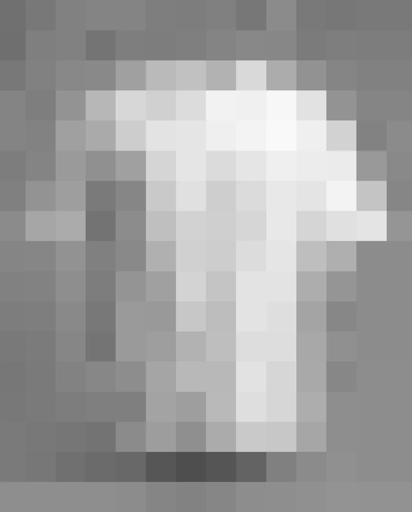 Drop 001 tee, front, pixelated until the design reveal